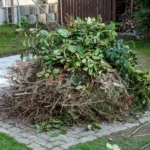 yard clean up near me in Canton and North Canton, Ohio