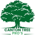 Canton Tree Pros services in Canton, Ohio