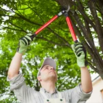 we provide our tree removal and trimming services in Canton and North Canton, Ohio