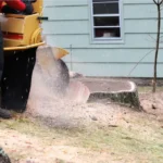 we provide our tree removal and trimming services near me in Canton and North Canton, Ohio