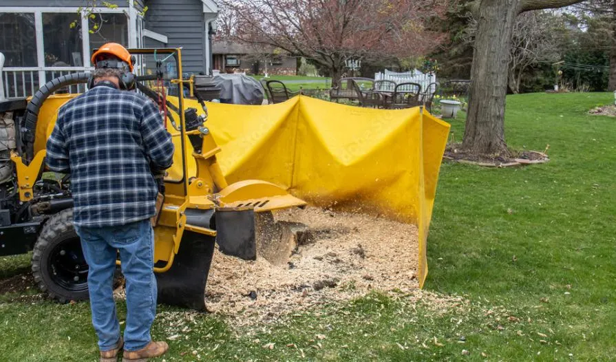 Tree Stump Grinding Service near me in Canton & North Canton, Ohio