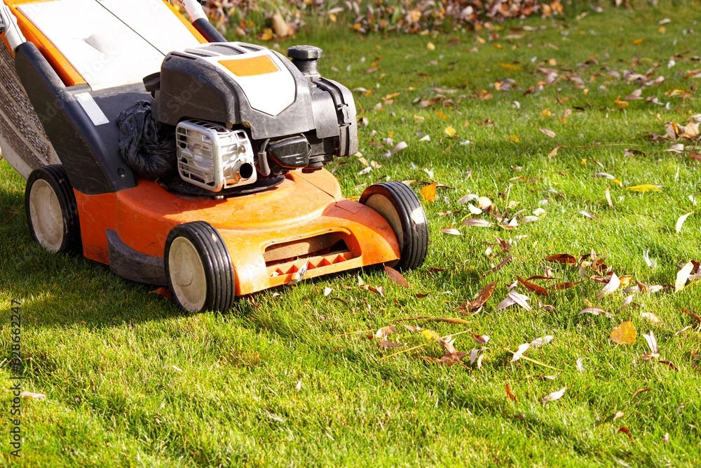 Tree Stump Grinding Service near me in Canton & North Canton, Ohio